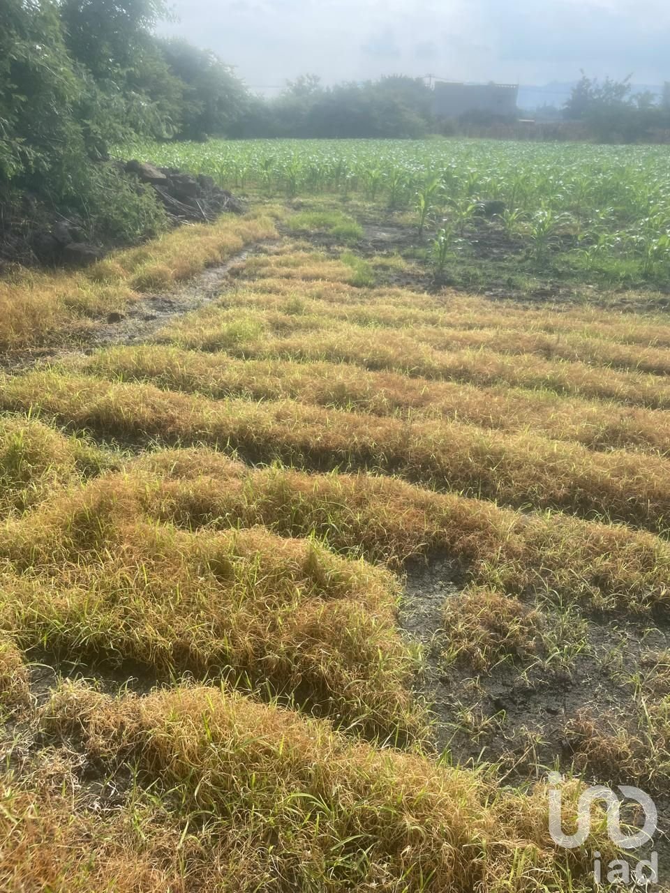 Terreno en Cuernavaca, Morelos, México 4 - 18759562