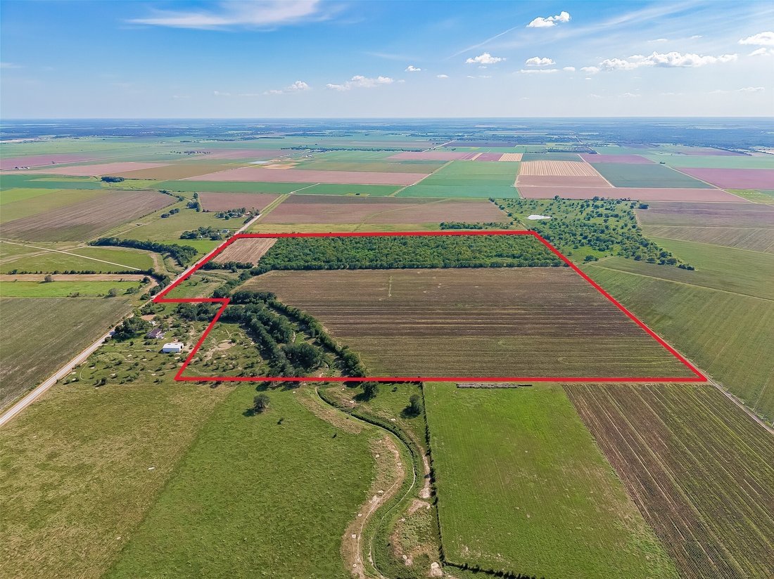 Land in Beasley, Texas, Vereinigte Staaten 4 - 18751859