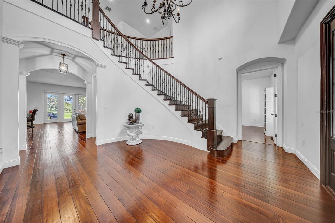 House in Lithia, Florida, United States 4 - 18759466