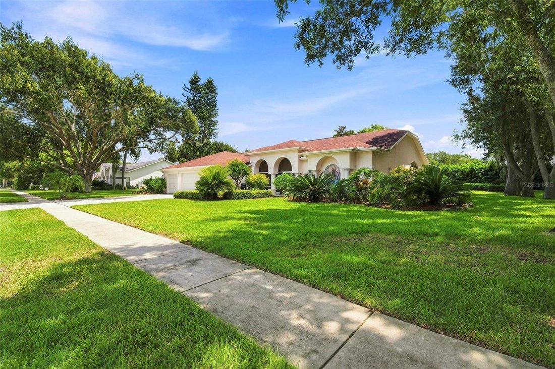Haus in Odessa, Florida, Vereinigte Staaten 4 - 18758516