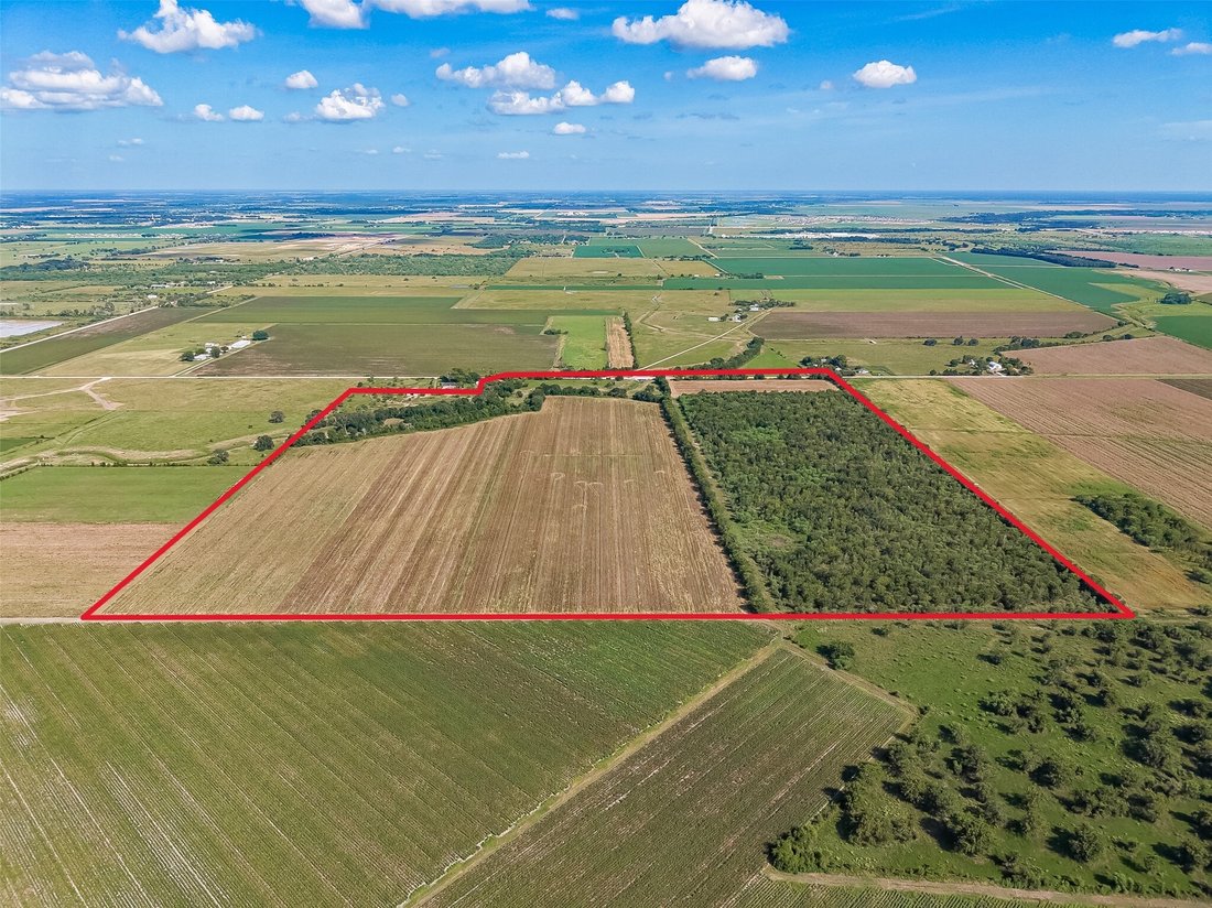 Land in Beasley, Texas, Vereinigte Staaten 3 - 18751859