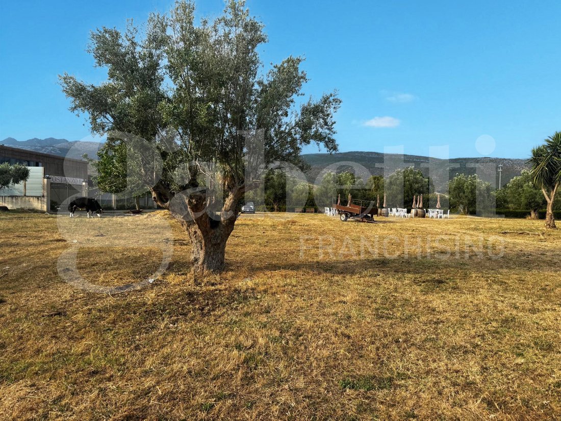 Azienda agricola a Pastorano, Campania, Italia 3 - 18751217