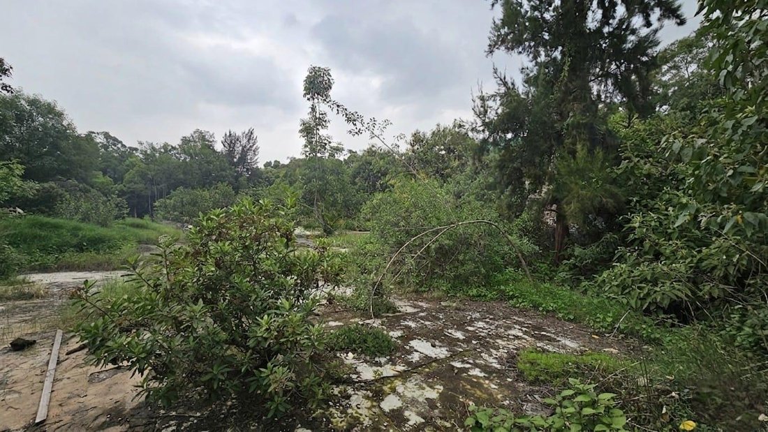 Terreno a Città del Messico, Distretto Federale, Messico 4 - 18750168