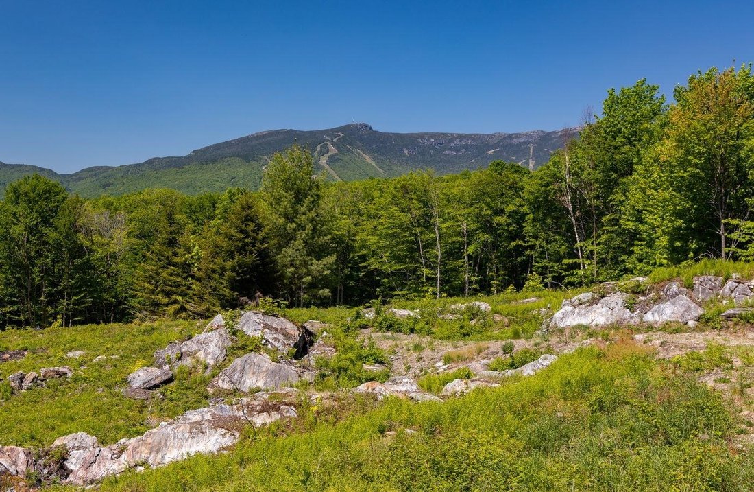 Land in Stowe, Vermont, Vereinigte Staaten 3 - 18755253