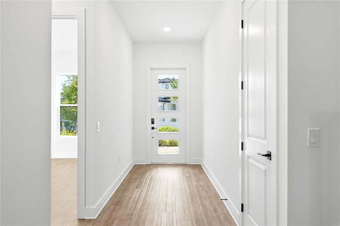House in Palm Harbor, Florida, United States 5 - 17179556