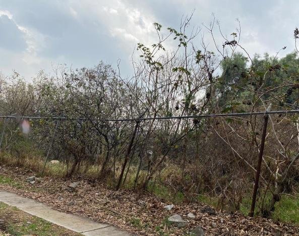 Terreno en Naucalpan de Juárez, Estado de México, México 3 - 18750156