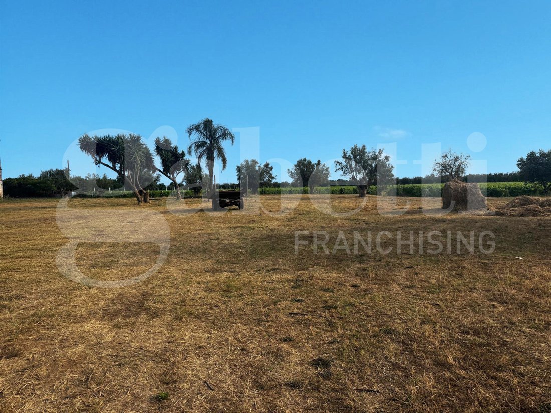 Azienda agricola a Pastorano, Campania, Italia 2 - 18751217
