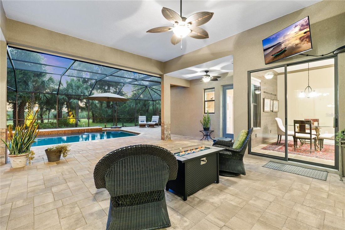 House in Lithia, Florida, United States 4 - 18751455