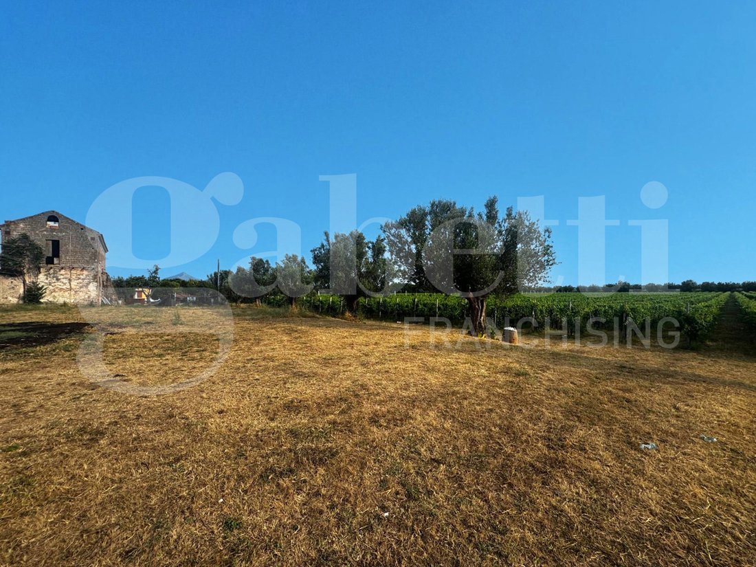 Azienda agricola a Pastorano, Campania, Italia 4 - 18751217