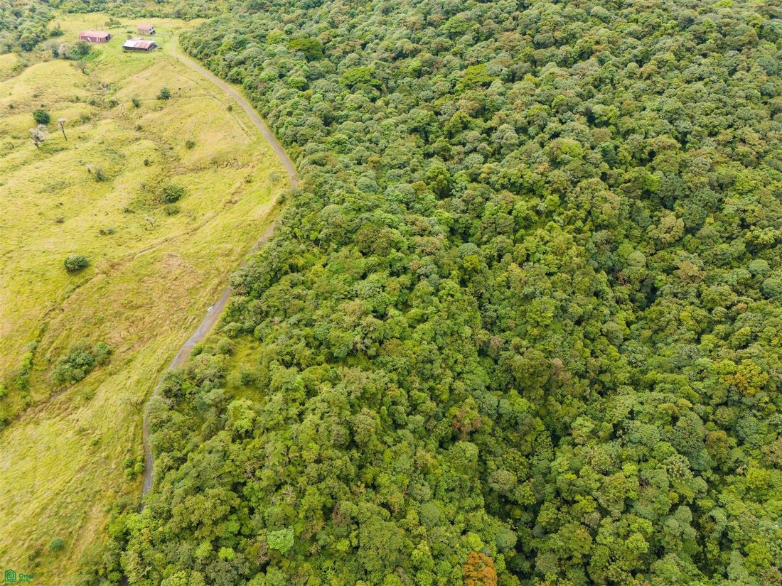 Land in San Jerónimo, Moravia, Costa Rica 3 - 17810230