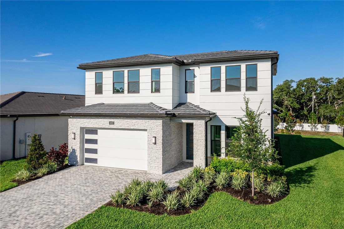 House in Palm Harbor, Florida, United States 3 - 17179556