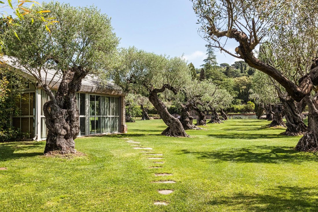 Villa in Gassin, Provence-Alpes-Côte d'Azur, Frankreich 4 - 18753056