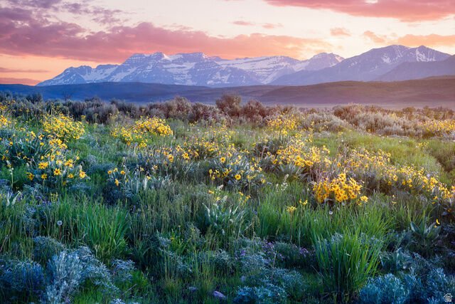 Terrain à Kamas, Utah, États-Unis 1 - 18757827