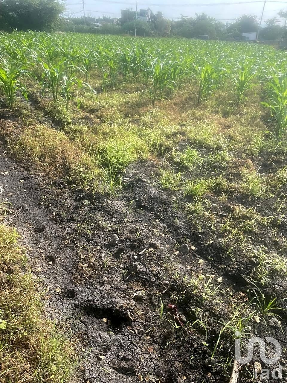 Terreno en Cuernavaca, Morelos, México 3 - 18759562