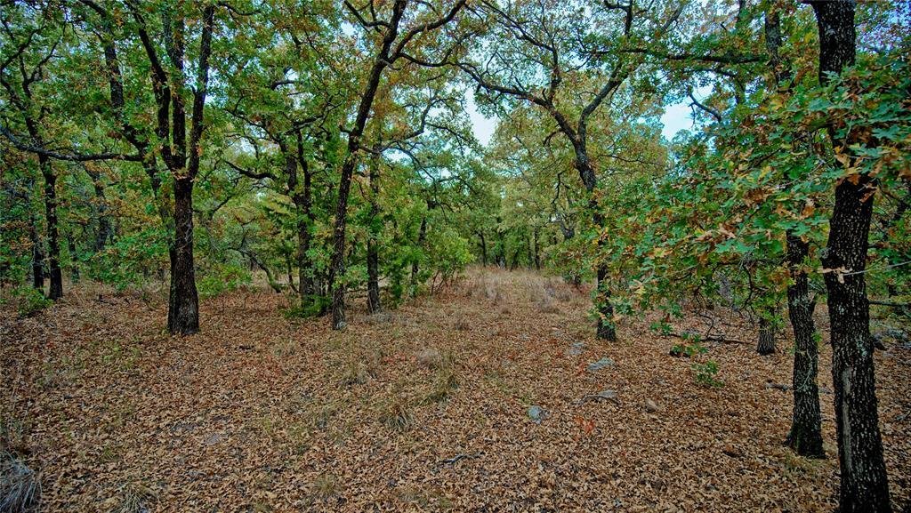 Land in Nocona, Texas, United States 3 - 18753672