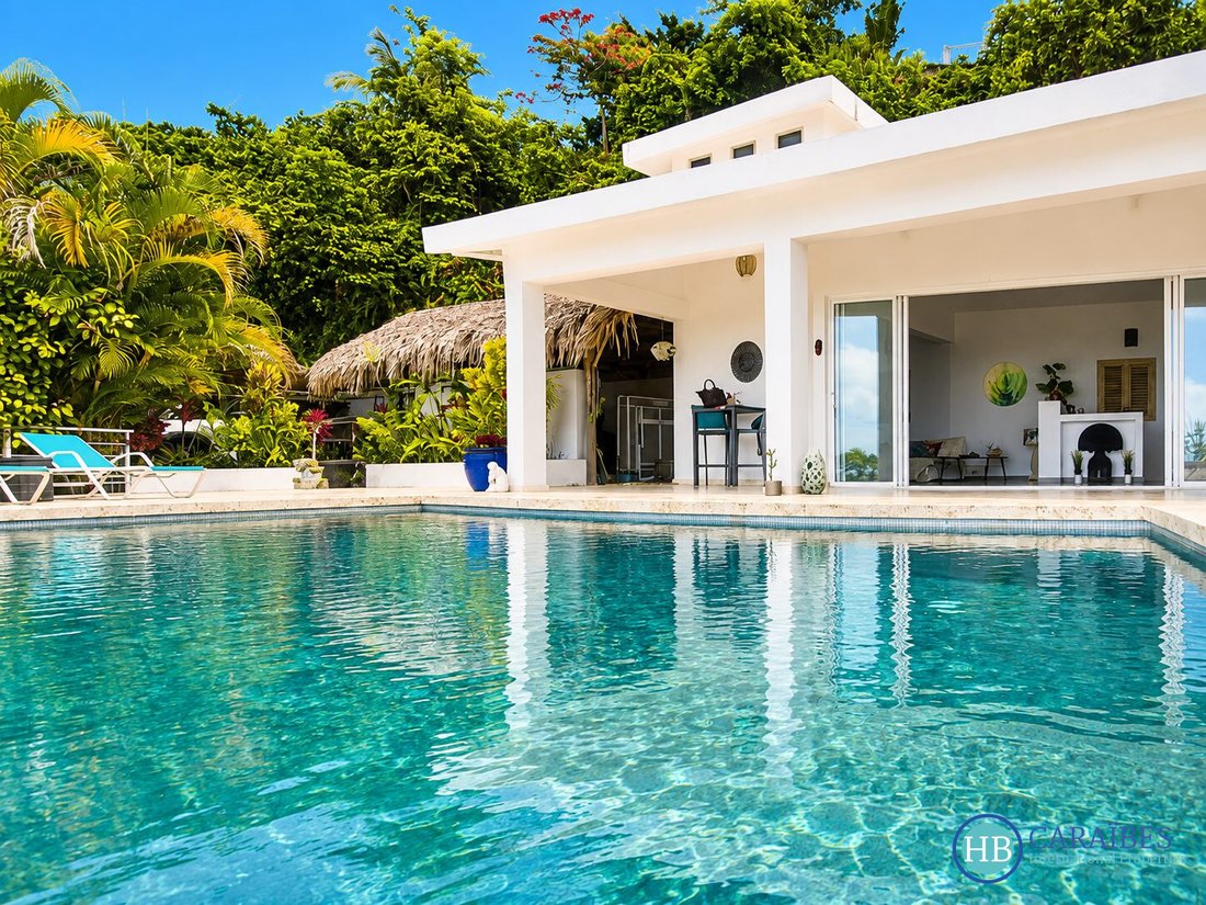 Villa à Las Terrenas, Santa Bárbara de Samaná, République dominicaine 2 - 18758078