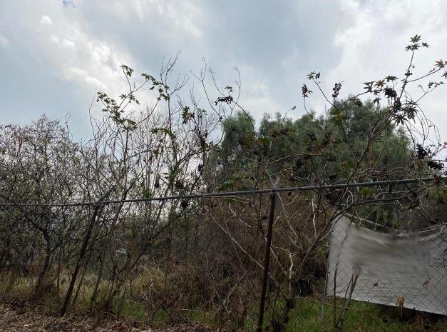 Terreno en Naucalpan de Juárez, Estado de México, México 2 - 18750156
