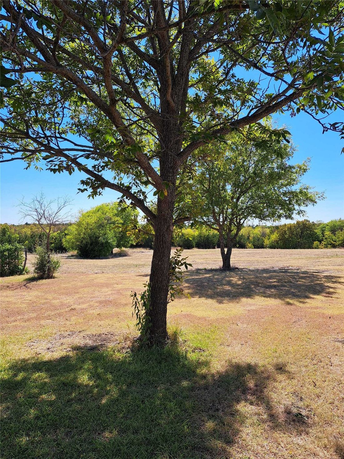 Land in Princeton, Texas, Vereinigte Staaten 4 - 18757862
