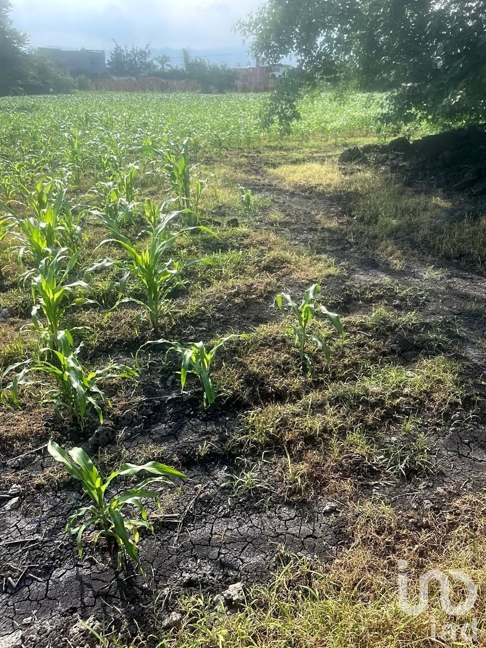 Terreno en Cuernavaca, Morelos, México 2 - 18759562