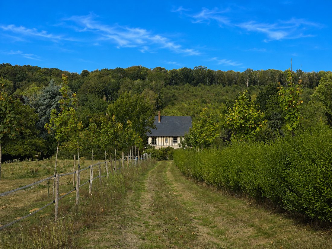 Haus in Auzouville-sur-Saâne, Normandie, Frankreich 1 - 18750011