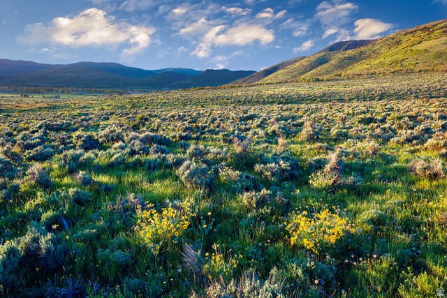 Terrain à Kamas, Utah, États-Unis 3 - 18757827