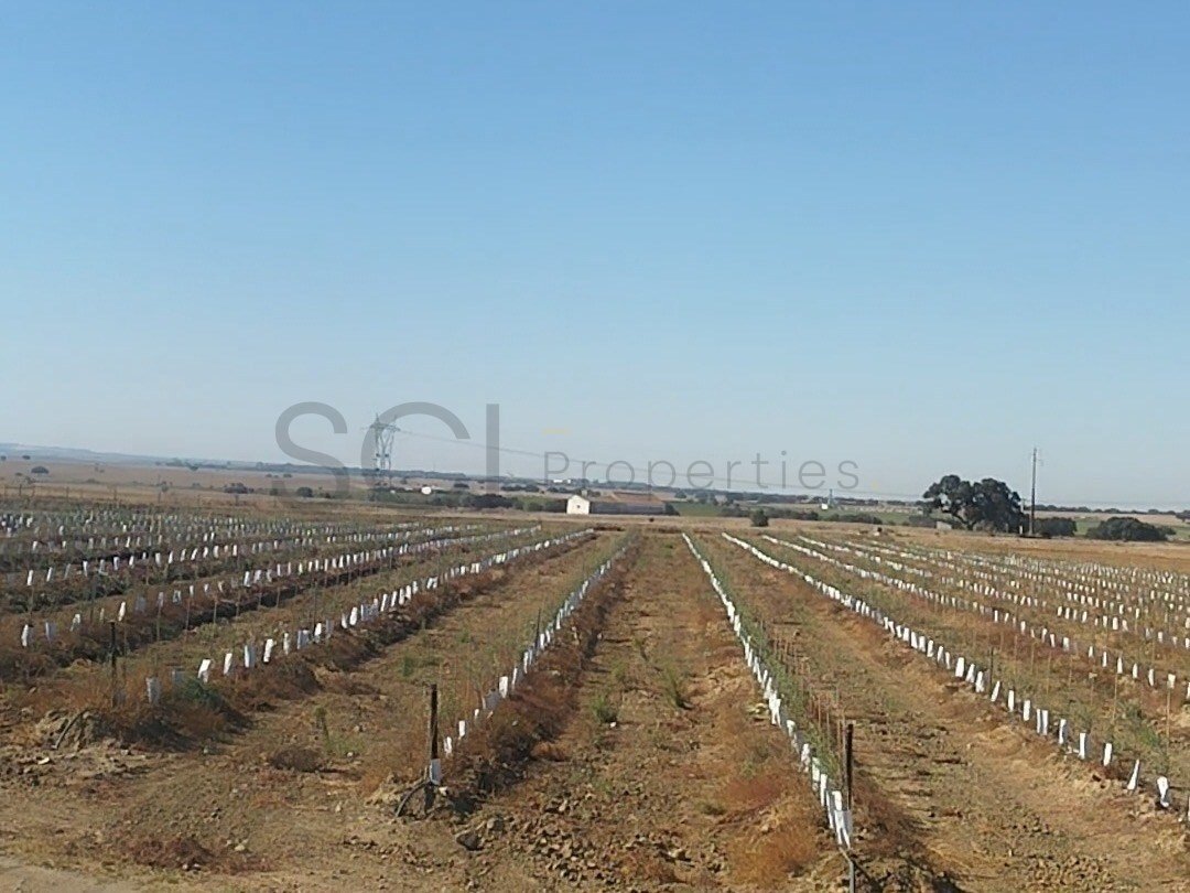 Terreno en Cuba, Distrito de Beja, Portugal 2 - 18756439