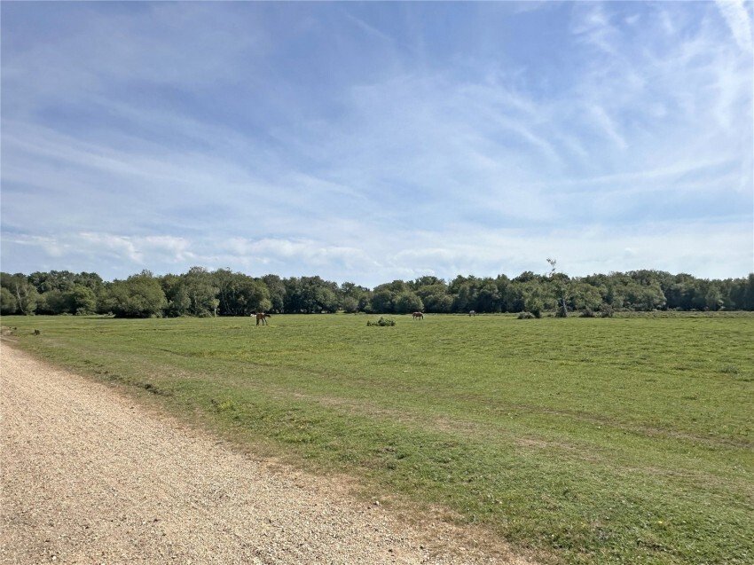 Casa en Brockenhurst, Inglaterra 2 - 18754650