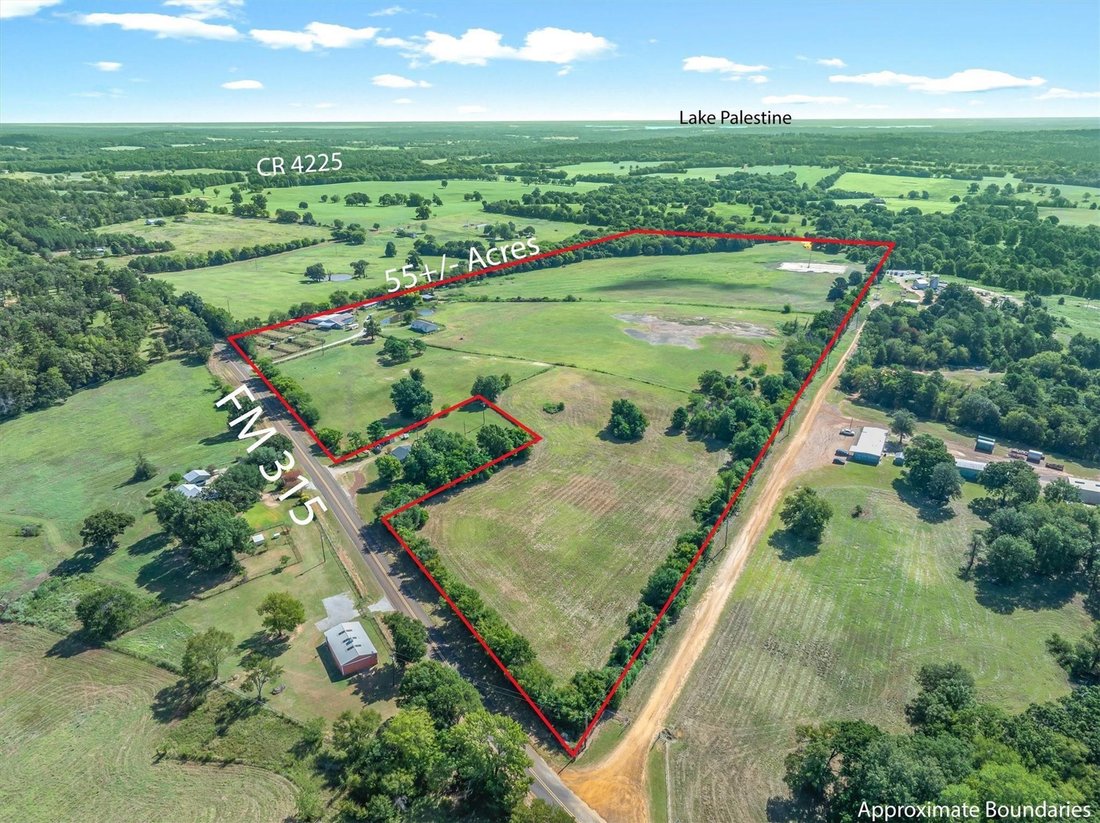 House in Palestine, Texas, United States 1 - 18752118