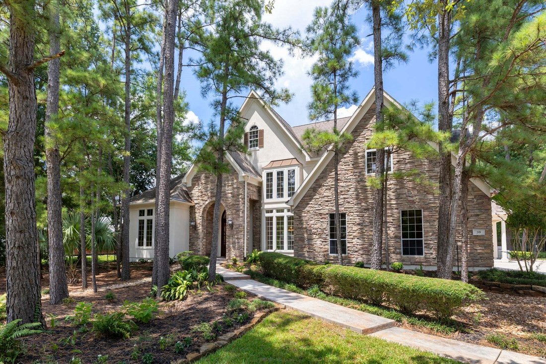 House in The Woodlands, Texas, United States 1 - 18759335