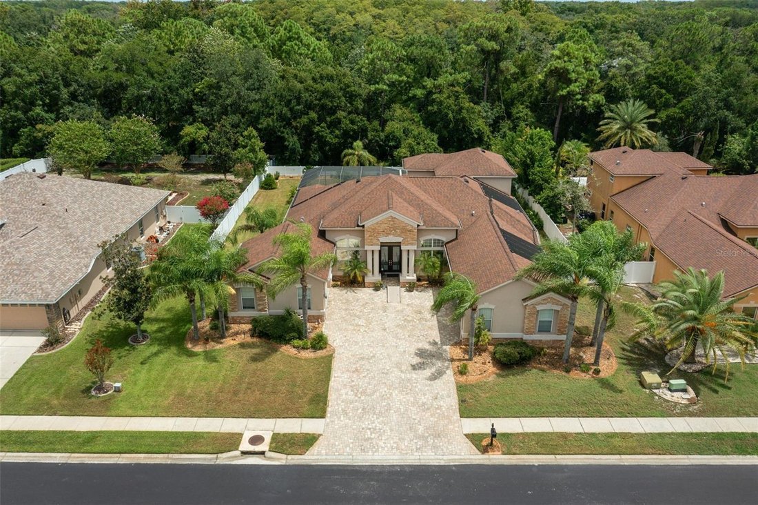 House in Trinity, Florida, United States 3 - 18756010