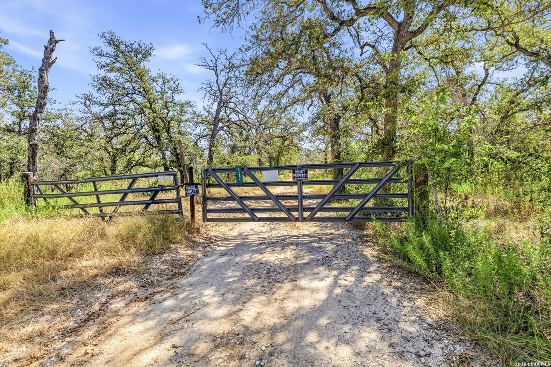 Azienda agricola a La Vernia, Texas, Stati Uniti 2 - 18749197