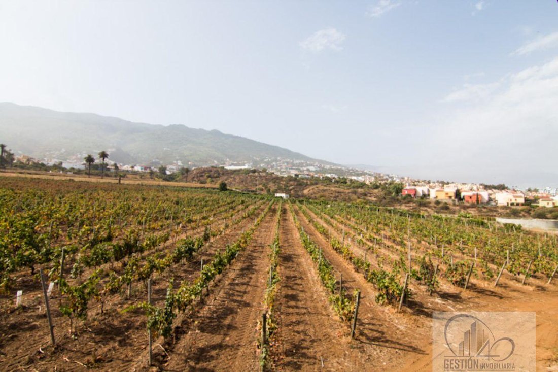 Finca in La Quinta, Canary Islands, Spain 1 - 12142075