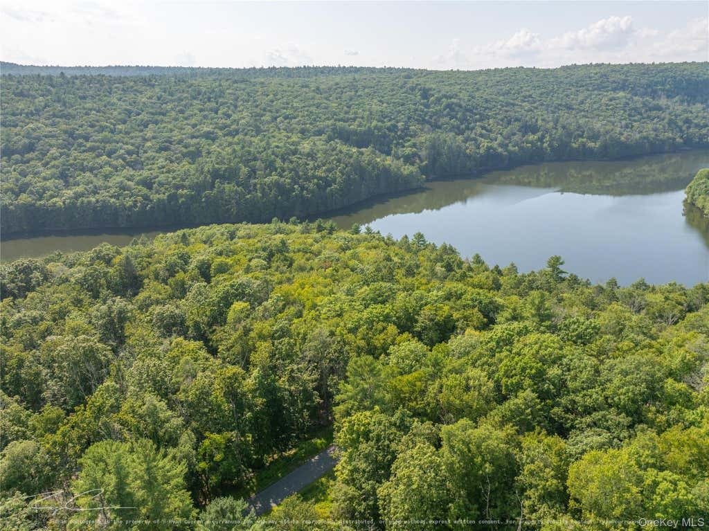 Terrain en Sparrow Bush, État de New York, États-Unis 5 - 18753714