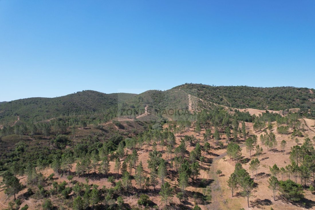 Azienda agricola a Silves, Algarve, Portogallo 4 - 18752896