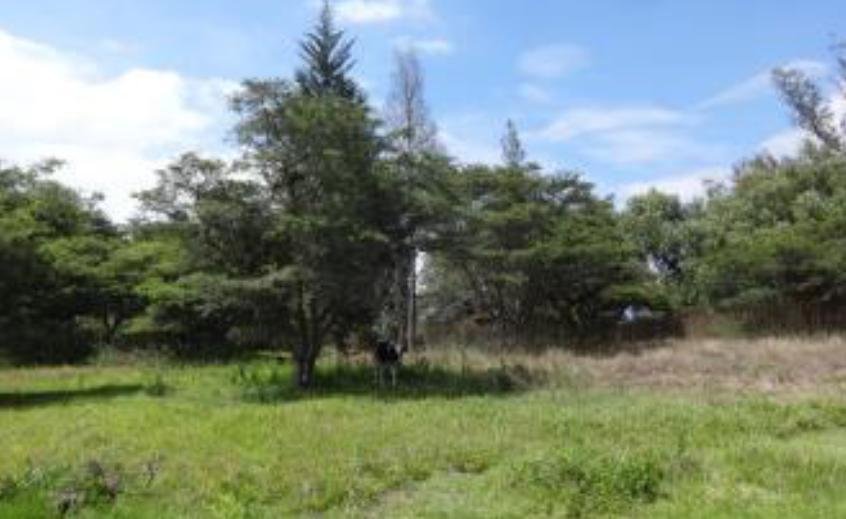 Land in Quito, Pichincha, Ecuador 1 - 18750491