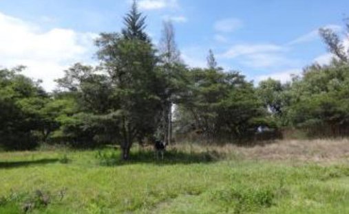Land in Quito, Pichincha, Ecuador 1
