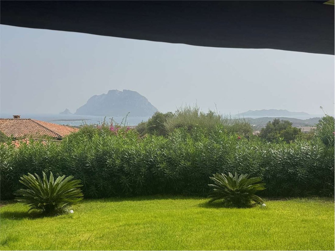 Villa in Loiri Porto San Paolo, Sardinien, Italien 5 - 18751082