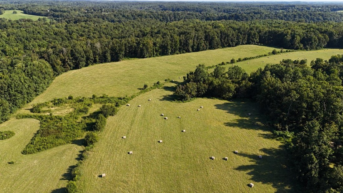 Azienda agricola a Primm Springs, Tennessee, Stati Uniti 5 - 18751821