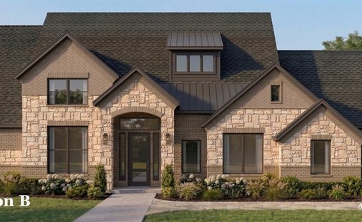 House in Plano, Texas, United States 1