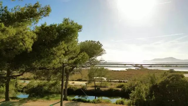 Terrain à Hyères, Provence-Alpes-Côte d'Azur, France 1 - 16296578