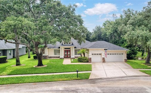 House in Lithia, Florida, United States 1
