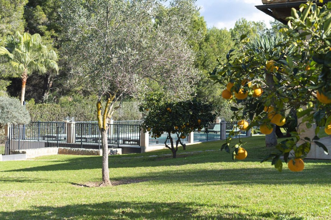 Villa en Santa Ponsa, Islas Baleares, España 4 - 18761414