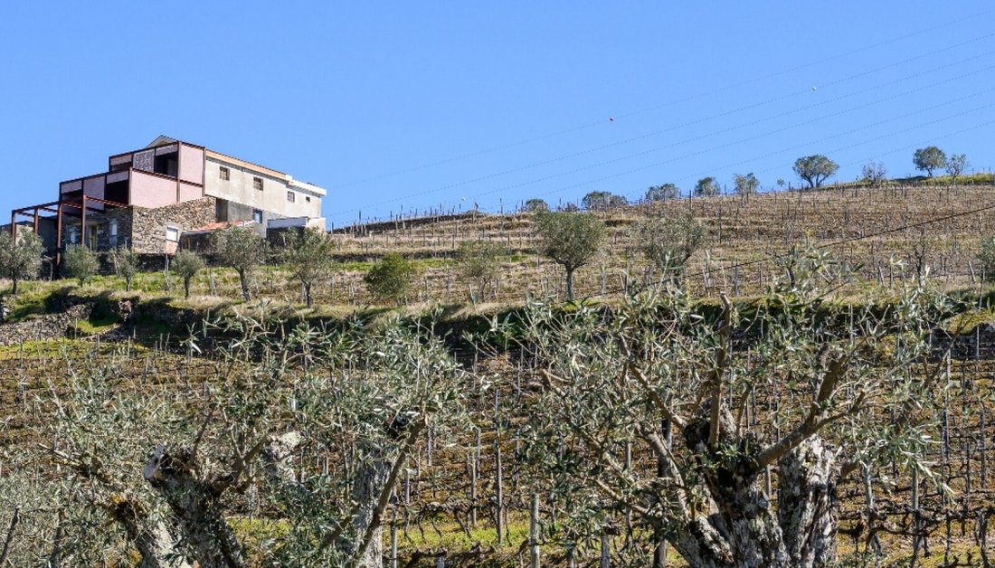 Casa en Peso da Régua, Distrito de Vila Real, Portugal 4 - 18753877