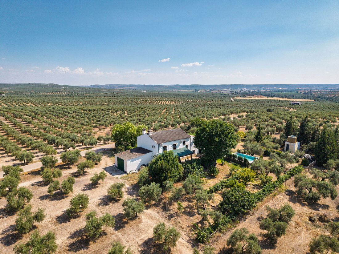 Finca in Marmolejo, Andalusien, Spanien 1 - 18755921