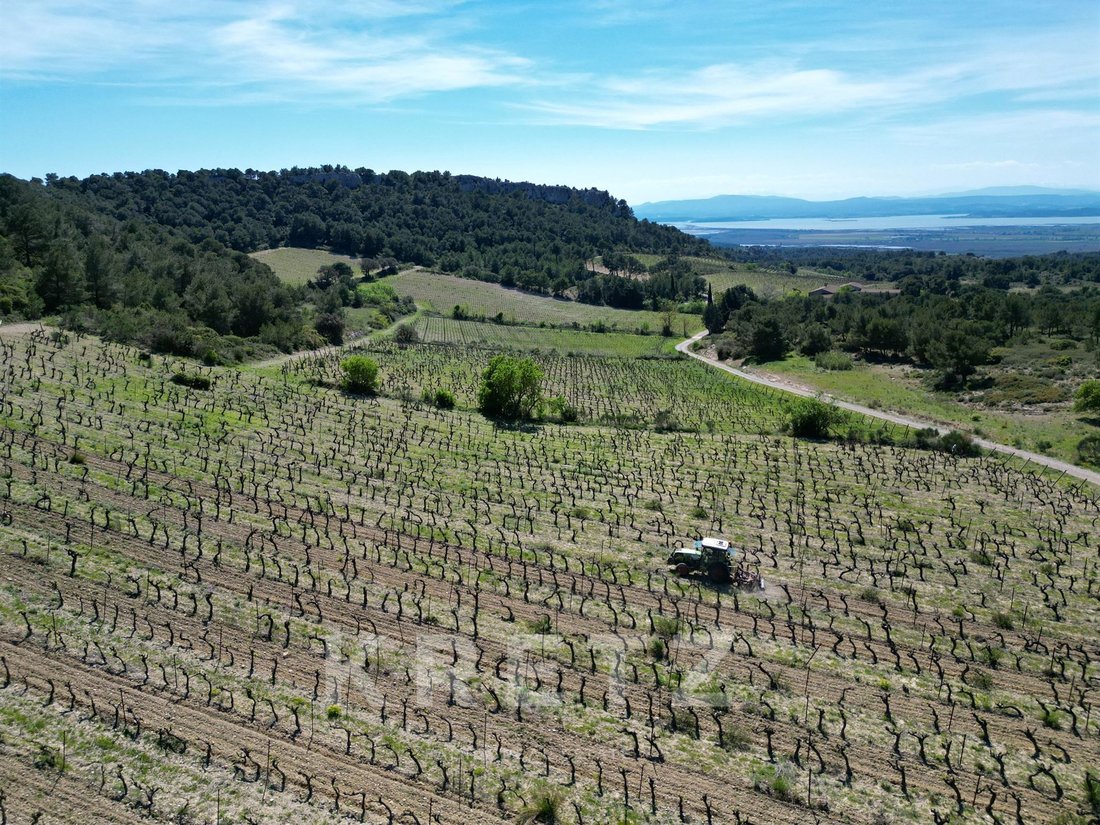 Farm Ranch in Bourg-Charité, Narbonne, France 4 - 18753229