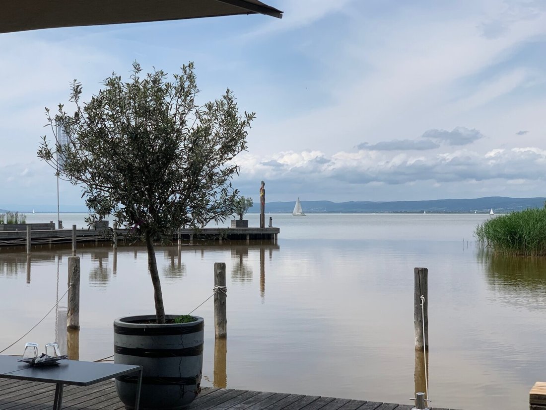 House in Neusiedl am See, Burgenland, Austria 5 - 18755297