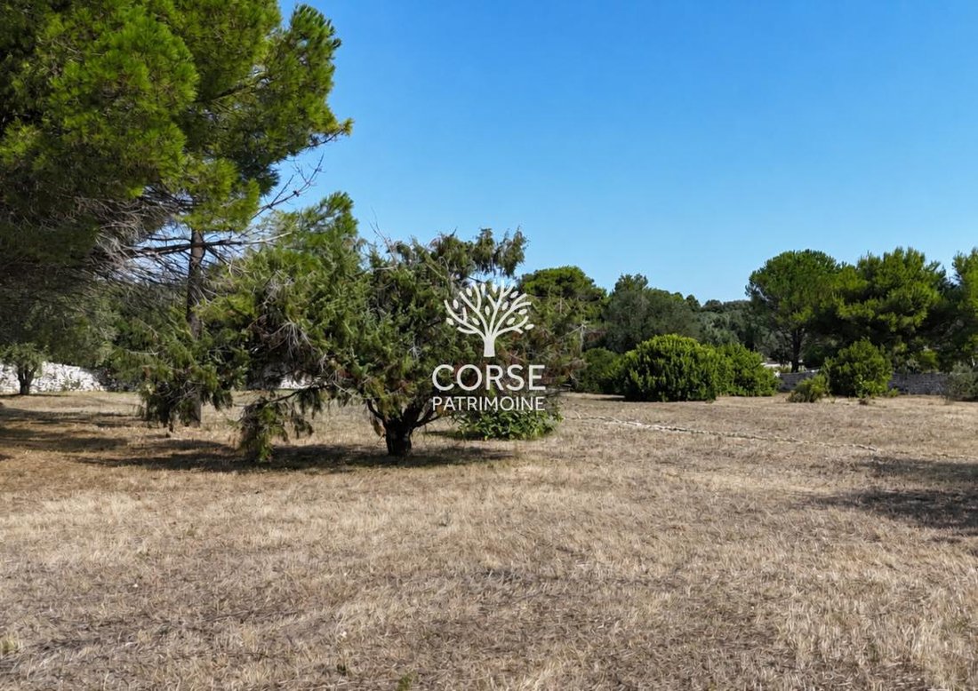 Maison à Bonifacio / Bunifaziu, Corse, France 2 - 18750561