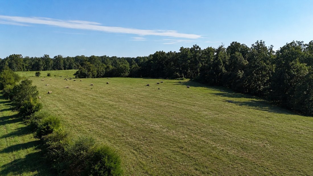 Azienda agricola a Primm Springs, Tennessee, Stati Uniti 4 - 18751821