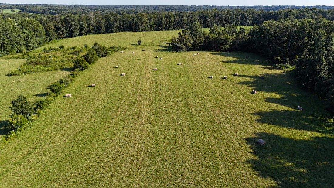 Azienda agricola a Primm Springs, Tennessee, Stati Uniti 2 - 18751821