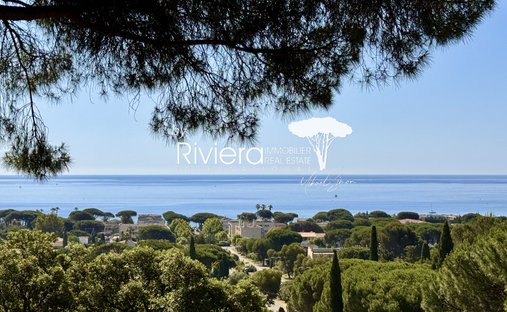 Estate in Nord, Cavalaire-sur-Mer, France 1